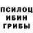 Первитин пудра Black Goose